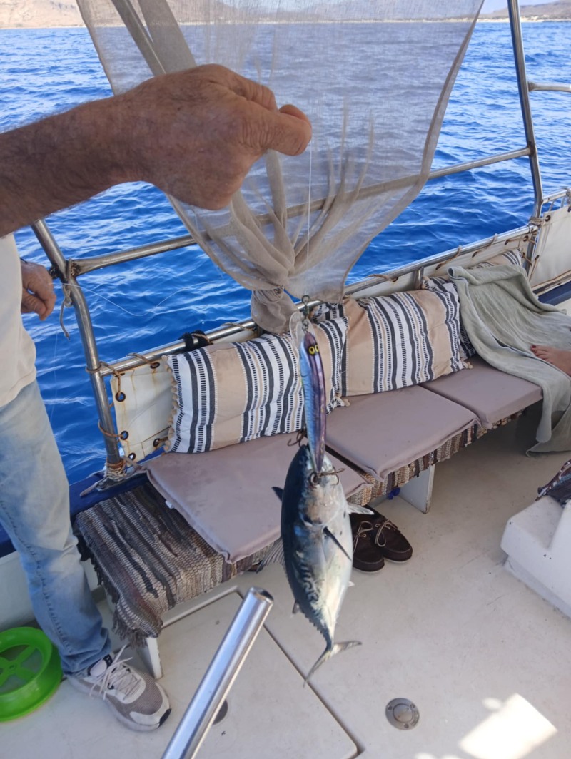 elafonisos_fishing15