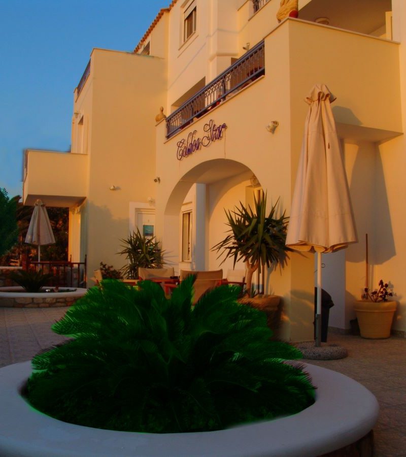 goldenstarno3