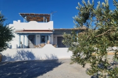 olivehouse11_elafonisos
