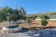 olivehouse12_elafonisos