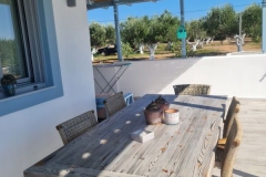 olivehouse16_elafonisos