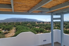 olivehouse2_elafonisos