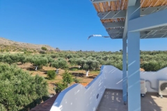 olivehouse3_elafonisos
