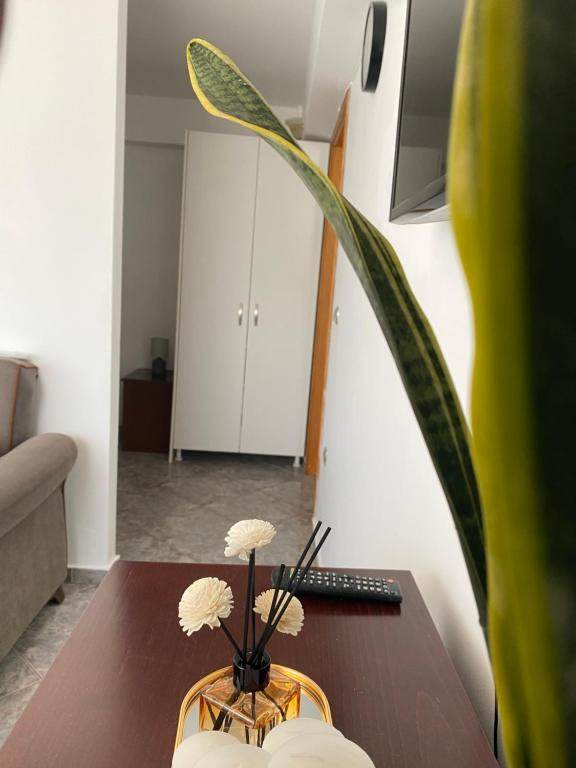 elafonisos_portomare10