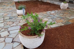 elafonisos_quattrogarden1