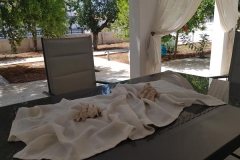 elafonisos_quattrogarden4