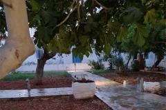 elafonisos_quattrogarden5