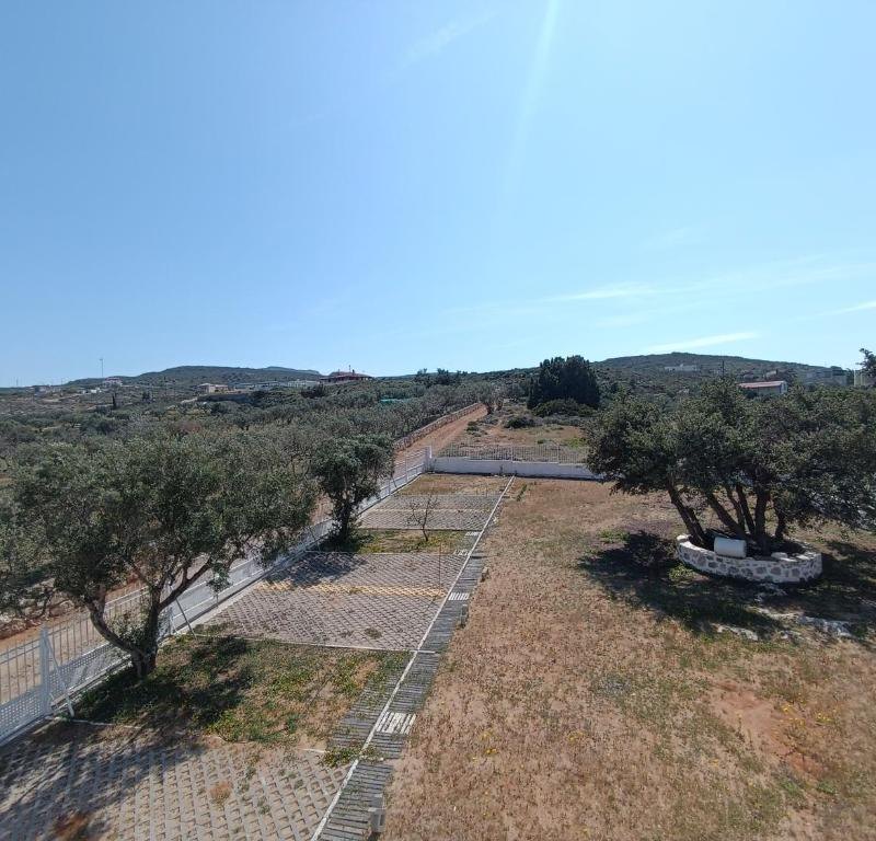 elafonisosnet_socrates12