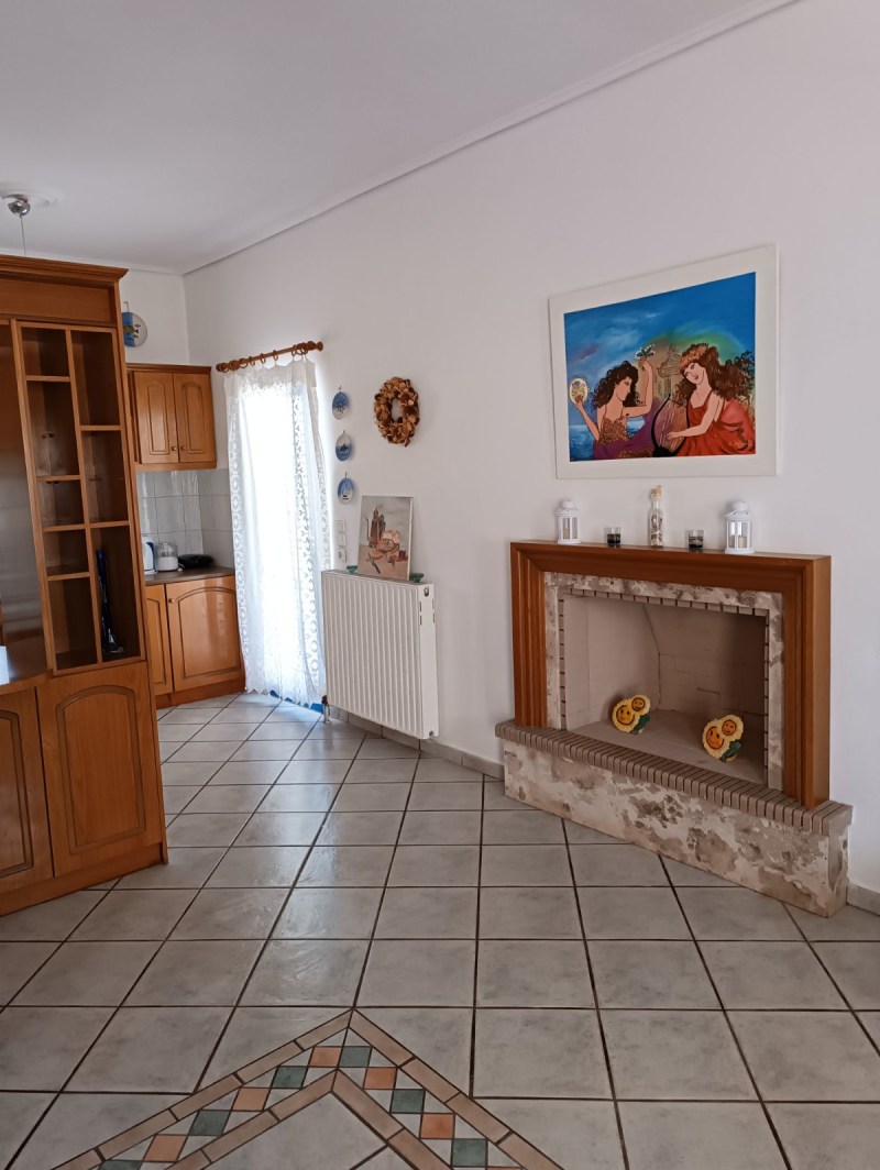 elafonisos_zaxaro266