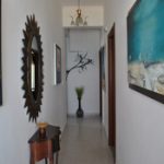 elafonisos_mesalas5