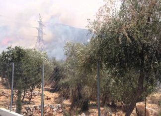 Εκδήλωση “SOS για τη Χερσόνησο του Μαλέα
