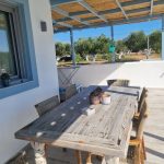 olivehouse16_elafonisos