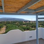 olivehouse2_elafonisos