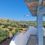 olivehouse3_elafonisos
